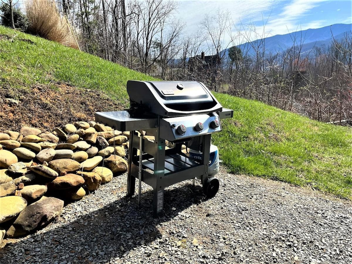 Propane grill, and you even have a view while you grill!!!